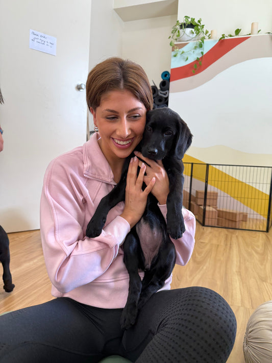 Puppy Yoga in Adelaide: A Unique Wellness Experience in Bowden