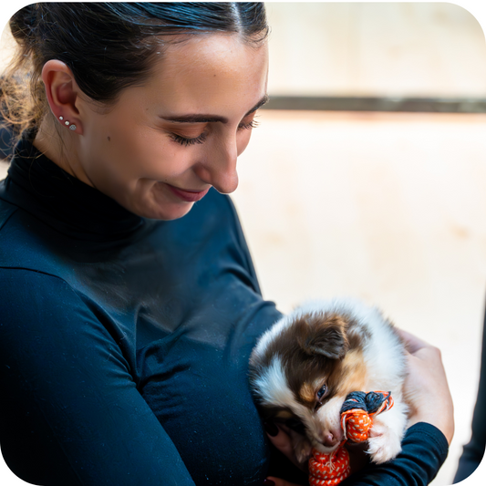 1h Puppy Yoga Class in Brisbane | Relaxing Yoga with Puppies