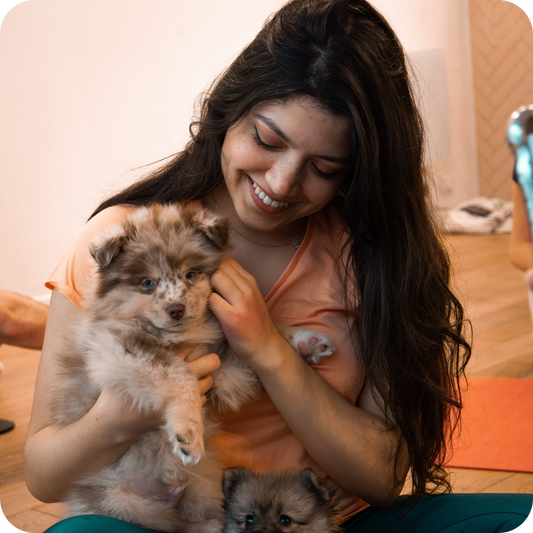 Adult Ticket - 1h Session Puppy Yoga - Positive Puppy Yoga