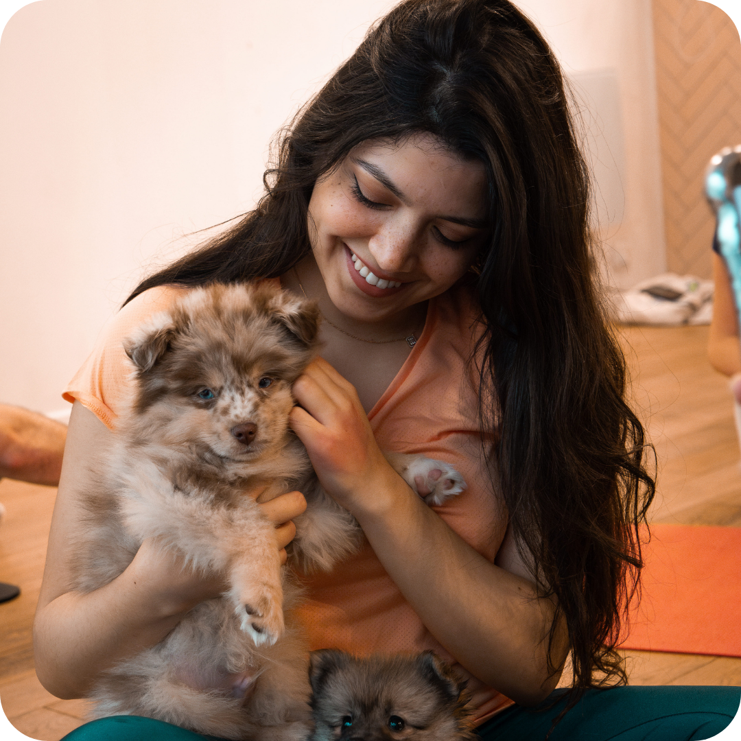Adult Ticket - 1h Session Puppy Yoga - Positive Puppy Yoga
