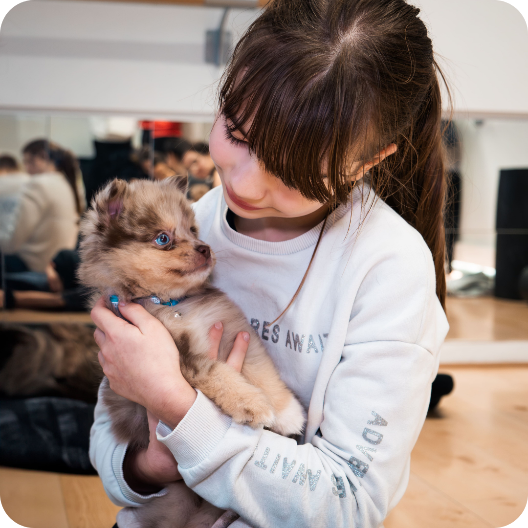 1h Puppy Yoga Class in Glebe | Relaxing Yoga with Puppies - Positive Puppy Yoga