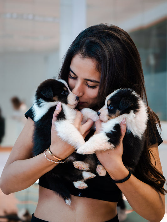 Celebrate Unforgettable Birthdays with Positive Puppy Yoga in Sydney 🐶🧘