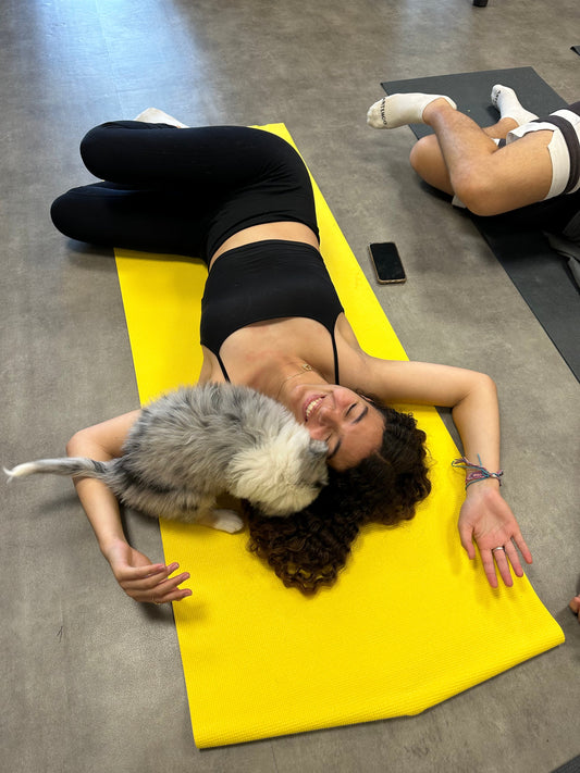 positive puppy yoga in Anzac Day 