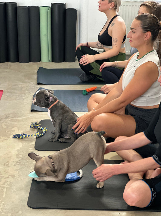 Positive-Yoga-with-Puppies