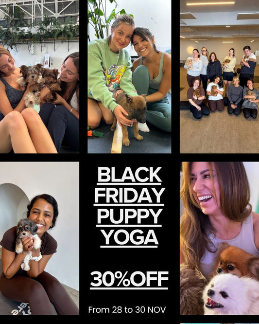 Puppy-Yoga-Black-Friday