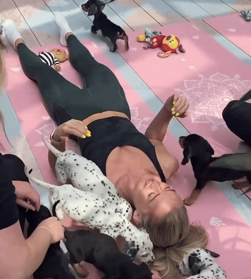 Puppy-Yoga-Gift-Card