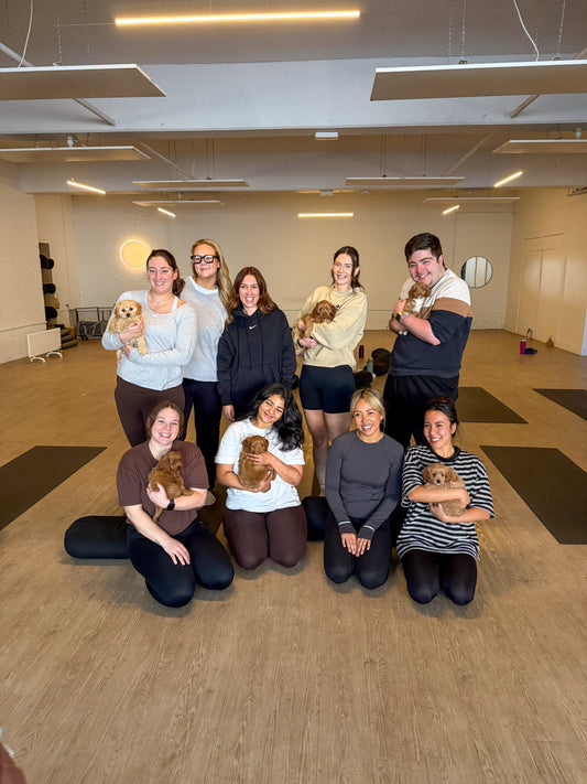 🐶 A Unique Team Building Activity: Try Puppy Yoga with Your Team