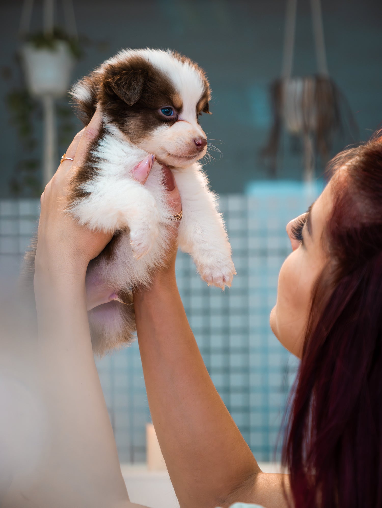 puppy-yoga-gold-coast
