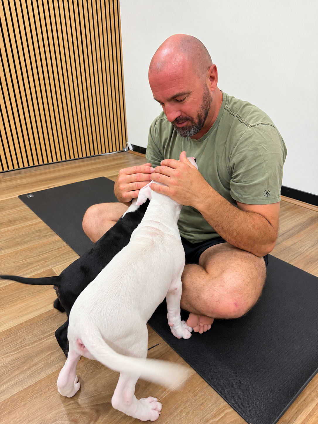 Puppy play and connection at Positiva