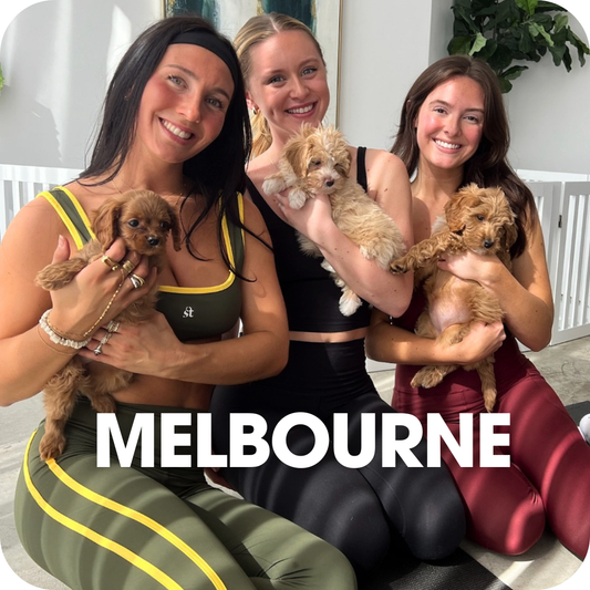 1h Puppy Yoga Class in Melbourne | Relaxing Yoga with Puppies