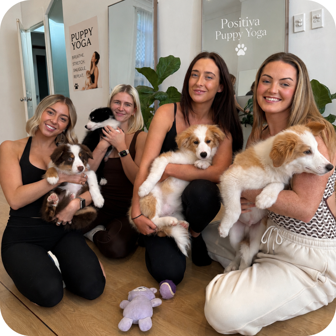 1h Puppy Yoga Class in Perth | Relaxing Yoga with Puppies