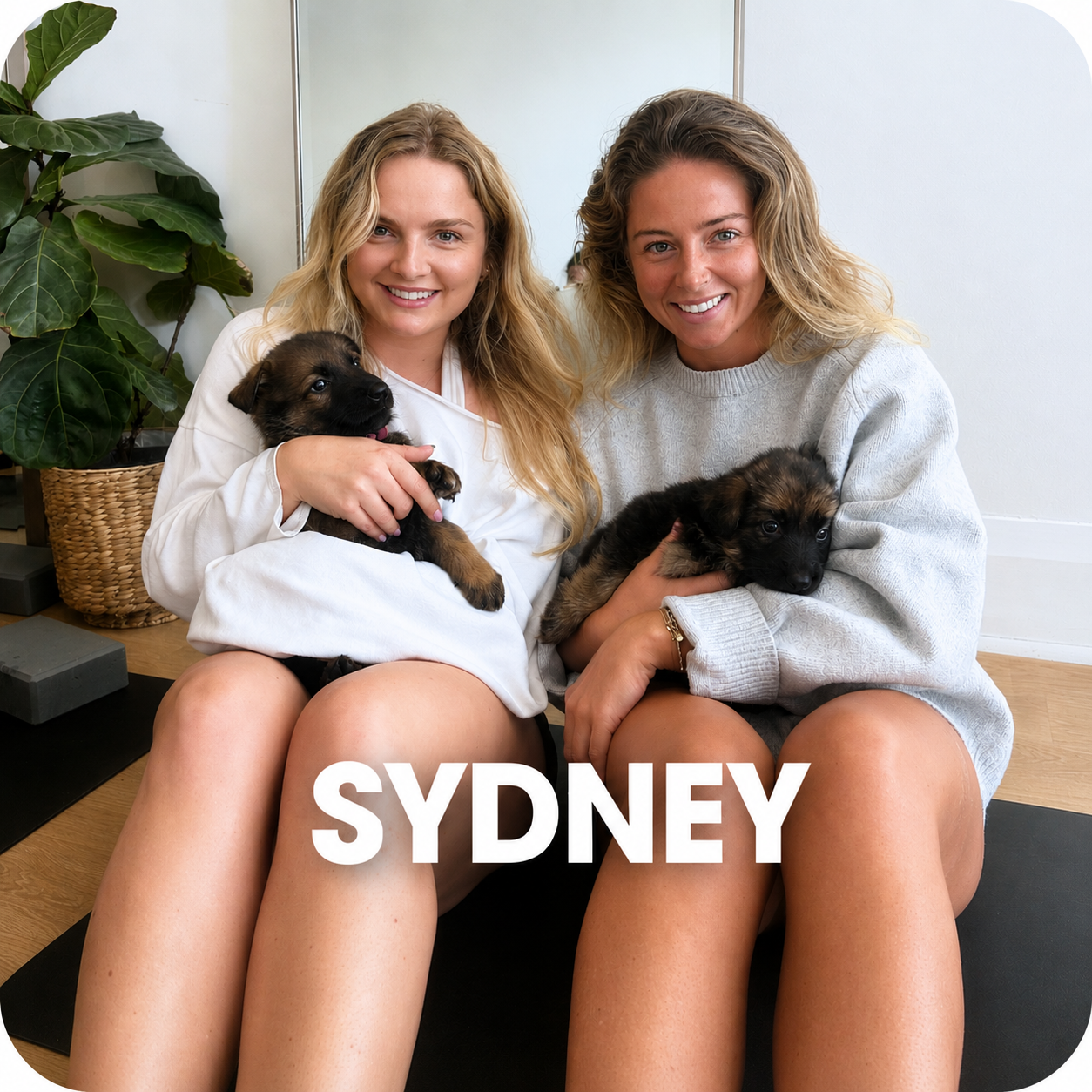 1h Puppy Yoga Class Sydney | Relaxing Yoga with Puppies - Positive Puppy Yoga