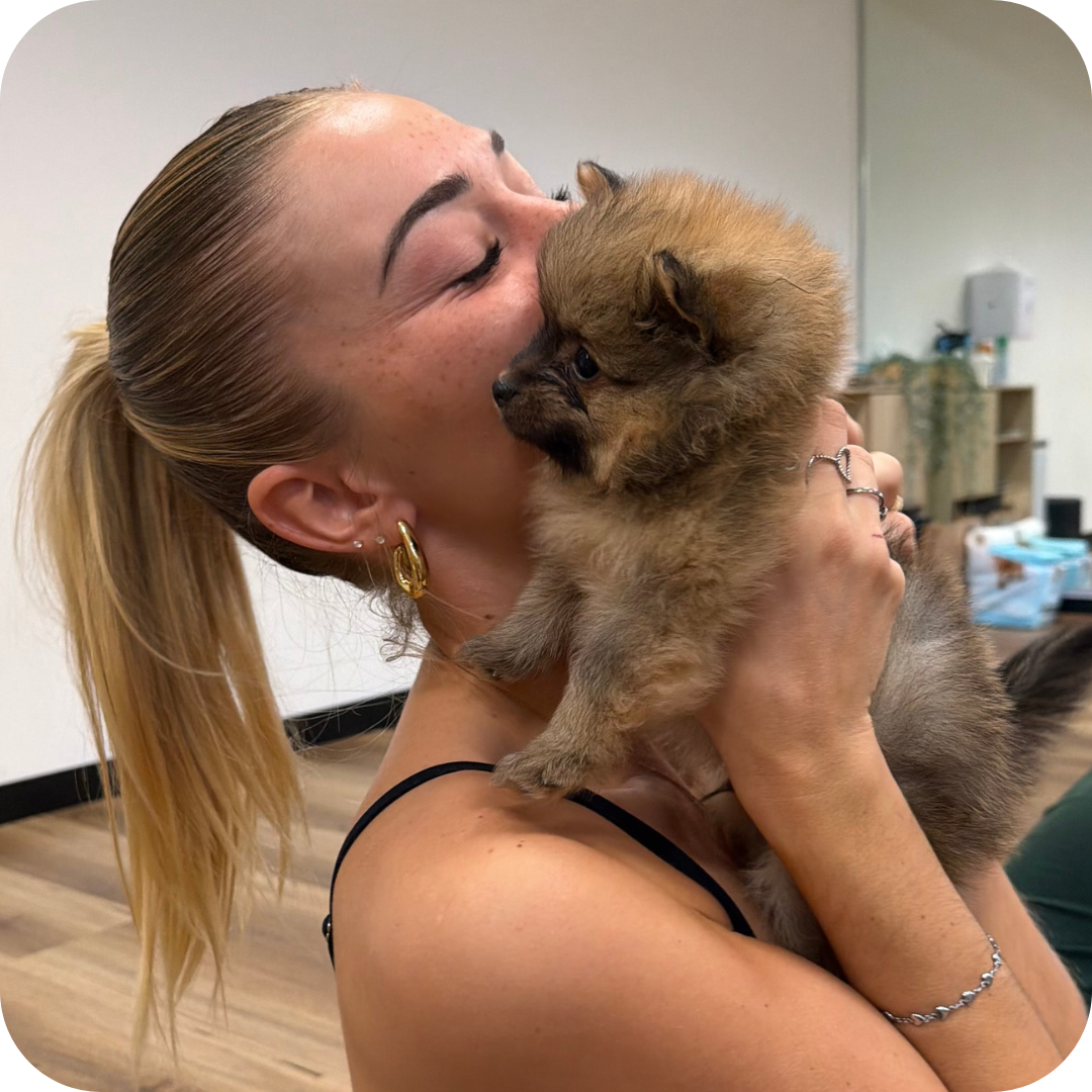 1h Puppy Yoga Class in Perth | Relaxing Yoga with Puppies