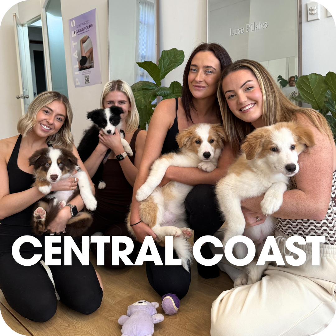 1h Puppy Yoga Class Central Coast | Relaxing Yoga with Puppies