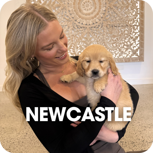 1h Puppy Yoga Class in Newcastle | Relaxing Yoga with Puppies