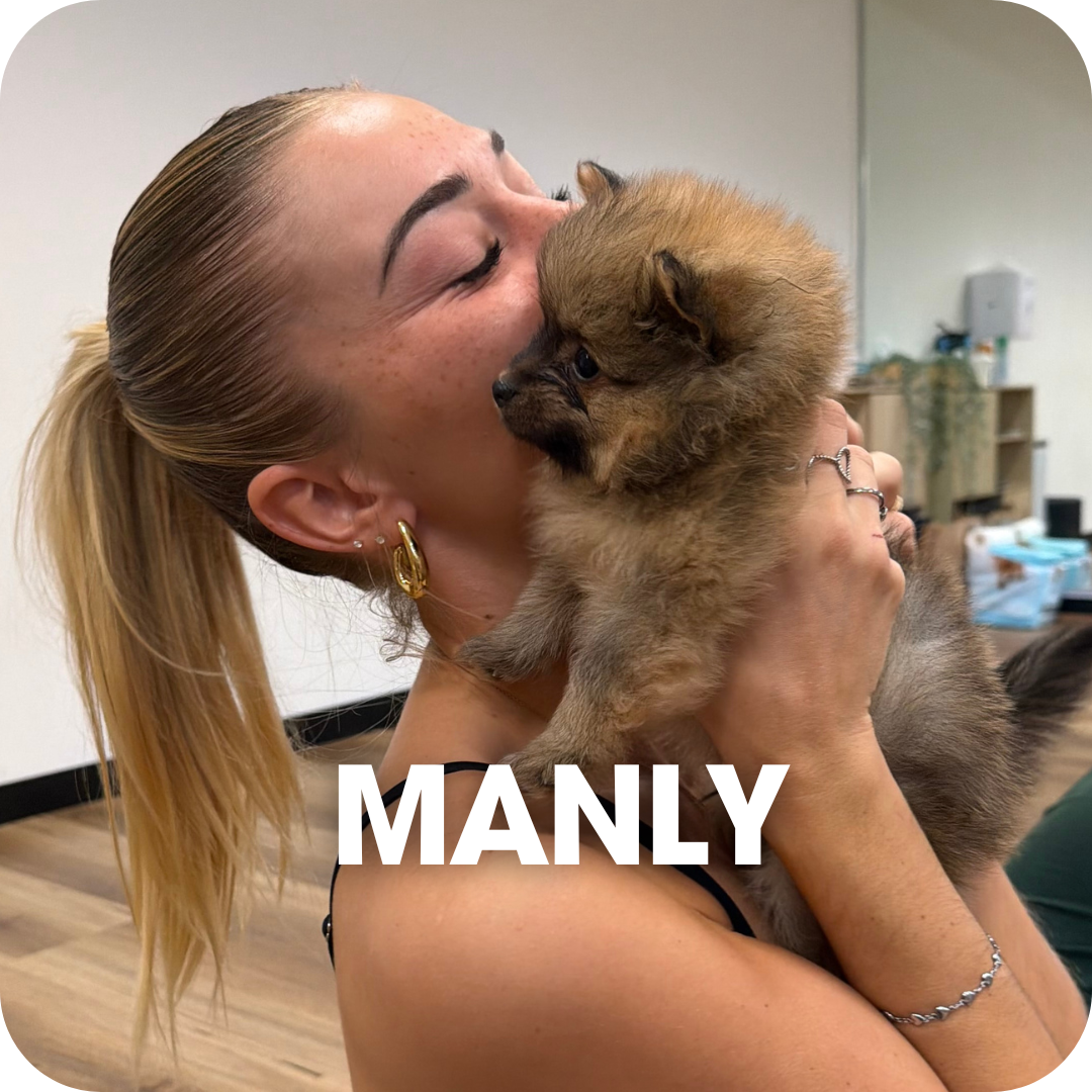 1h Puppy Yoga Class Manly | Relaxing Yoga with Puppies