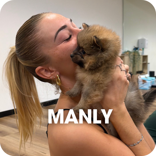 1h Puppy Yoga Class Manly | Relaxing Yoga with Puppies