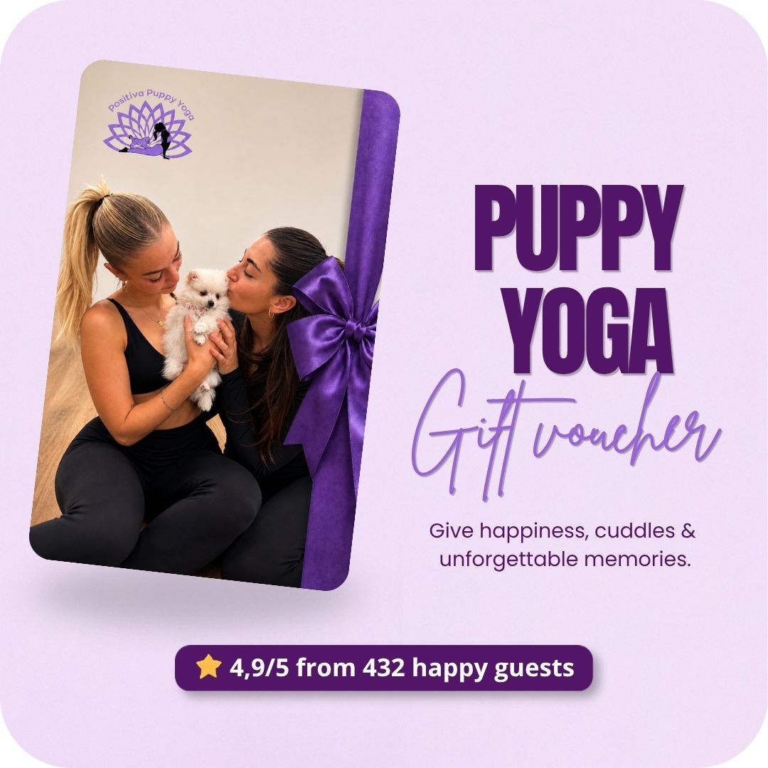 Puppy Yoga Gift Card – The Cutest Experience Gift - Positive Puppy Yoga