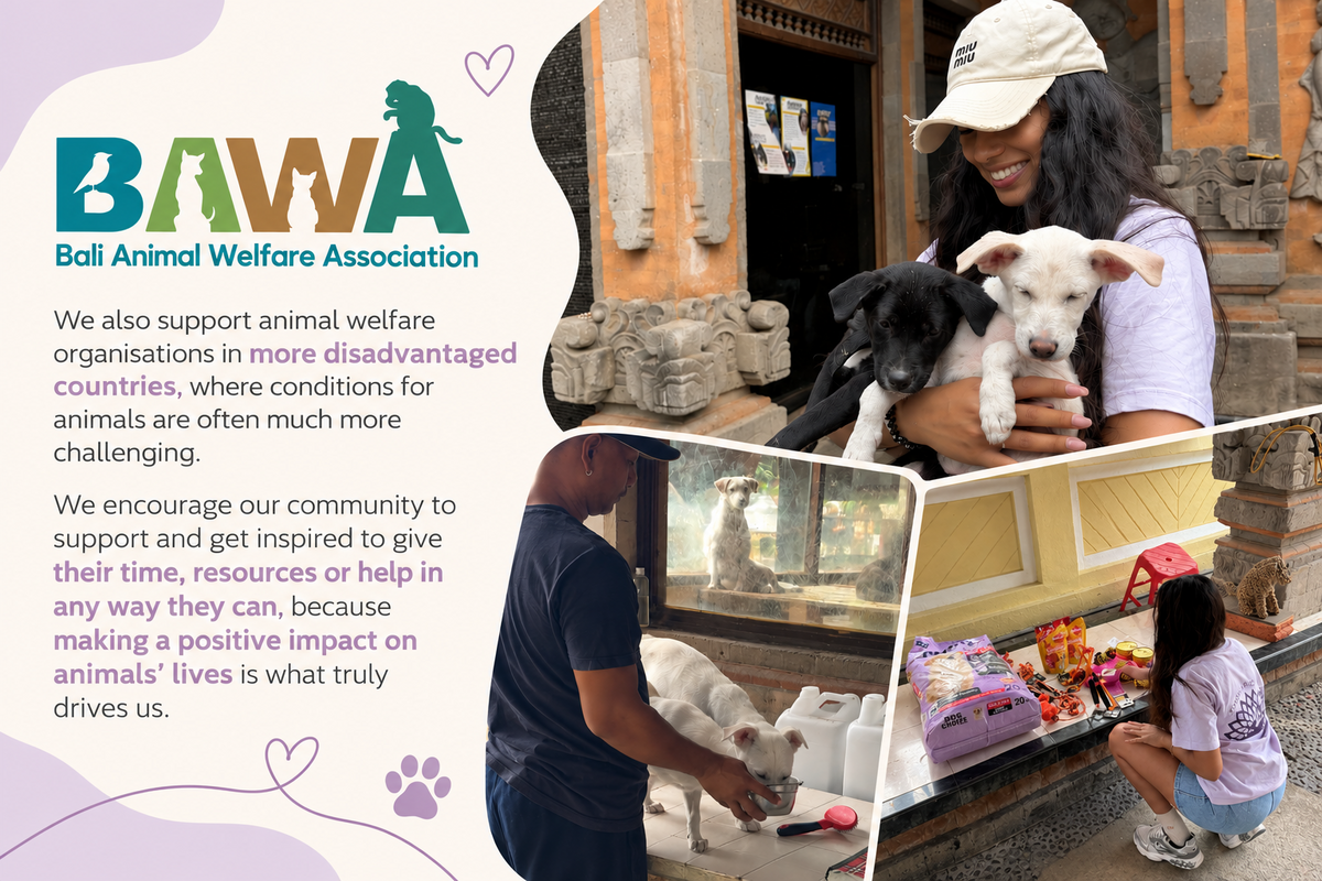 Positiva supporting BAWA in Bali
