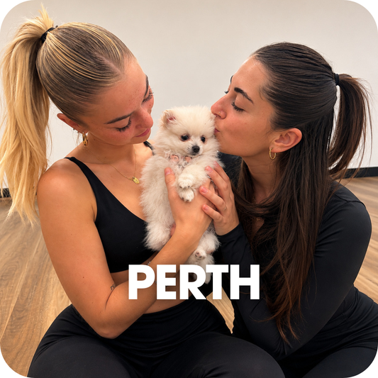 1h Puppy Yoga Class in Perth | Relaxing Yoga with Puppies